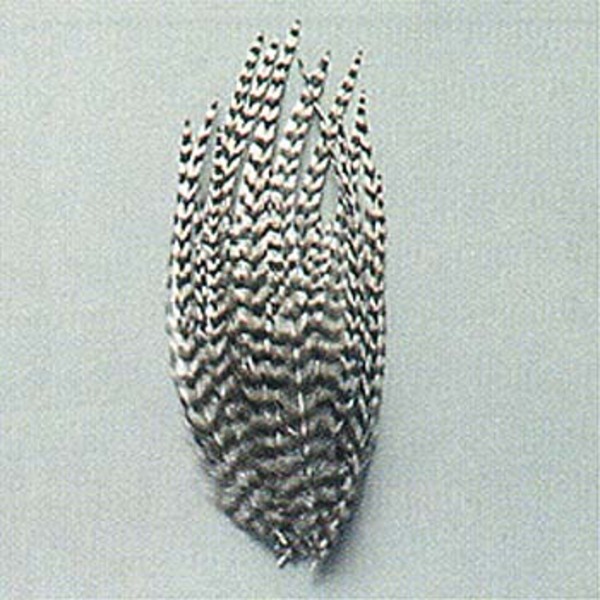 キャップス(Caps) ハックル小袋 011565 フェザー類