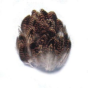 LbvX(Caps) OEX{fBtFU[