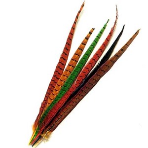 LbvX(Caps) RbNtFUg@Z^[e[