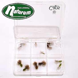 i` IWitC@rbgt@[PQZbg