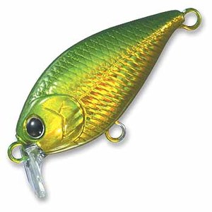 bL[Ntg(LUCKY CRAFT) V[@NEs[