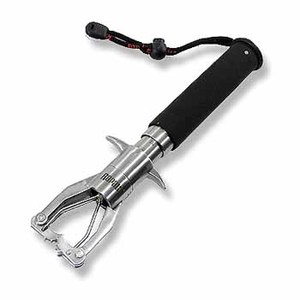 Rapala(p) vKChbLOEGCg