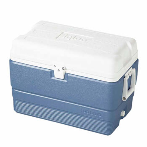 イグルー マックスコールド50QT M-6983 キャンプクーラー20～49リットル