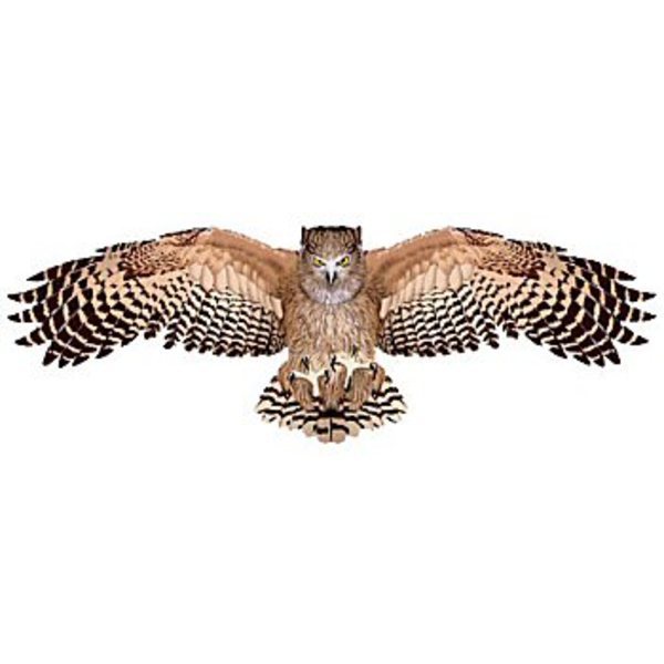 バイオカイト フクロウ SA402 スポーツトイ