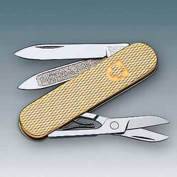 VICTORINOX(ビクトリノックス) 【国内正規品】 クラシックGD 0620088 ツールナイフ