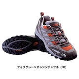 THE NORTH FACE(ザ･ノース･フェイス) BLAZE LOW NF70405 【廃】トレッキングシューズ･LOW