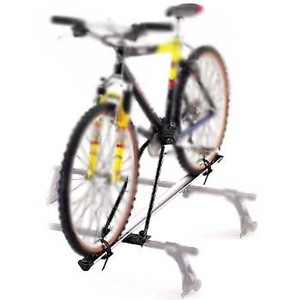 J[Cg(CAR MATE) TCNA^b`gX