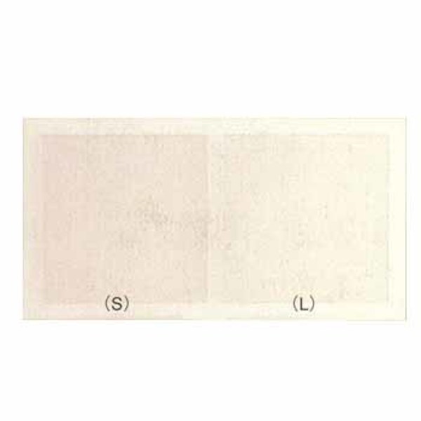 フェザー リッププレート   マテリアル