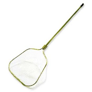 m[uh 僉o[fBOlbg@QW^