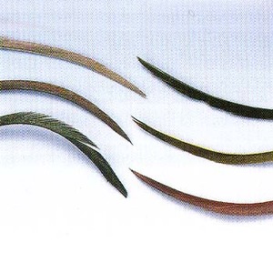 Xg[N(STALK) XgbvhEO[X