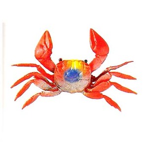 }V^(YAMASHITA) koAJx@k`a