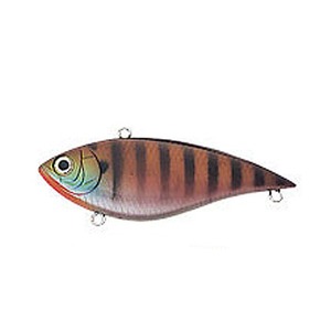 _C(Daiwa) scTCgoCu[V