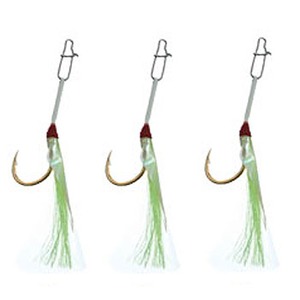 }A(Maria) VAWOtbN~h@`r