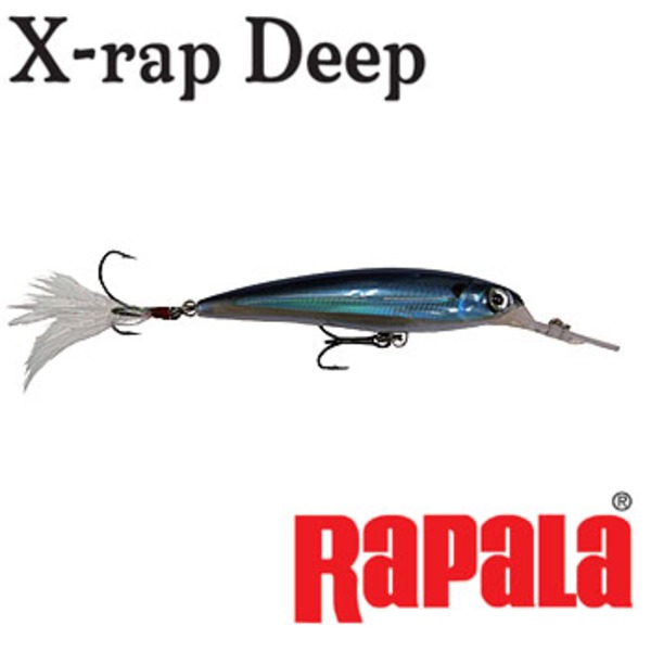 Rapala(ラパラ) XRDSS8 X-RAP Deep SC Hooks Special XRDSS8 ミノー(リップ付き)