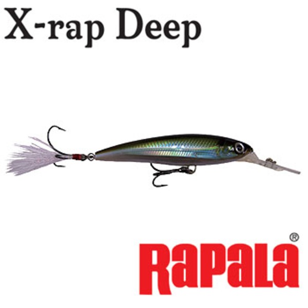 Rapala(ラパラ) XRDSS8 X-RAP Deep SC Hooks Special XRDSS8 ミノー(リップ付き)