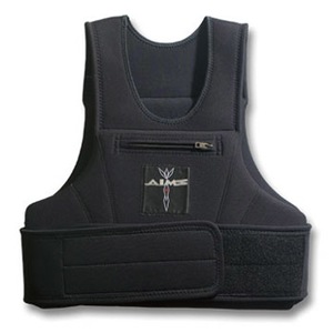 AIMS(GCXj T|[eBOt[gxXg