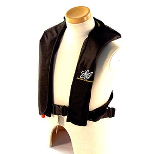 Go[O[(EVERGREENj dDfDCt[^uWPbgicj