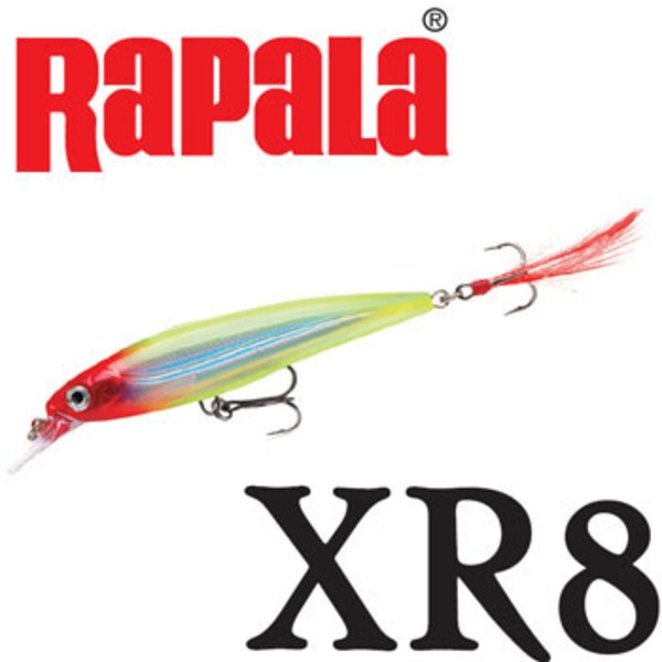 Rapala(ラパラ) XR8 X-RAP XR8 ミノー(リップ付き)