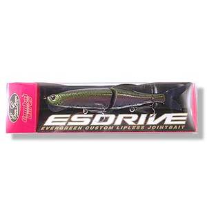 Go[O[(EVERGREENj GXhCu