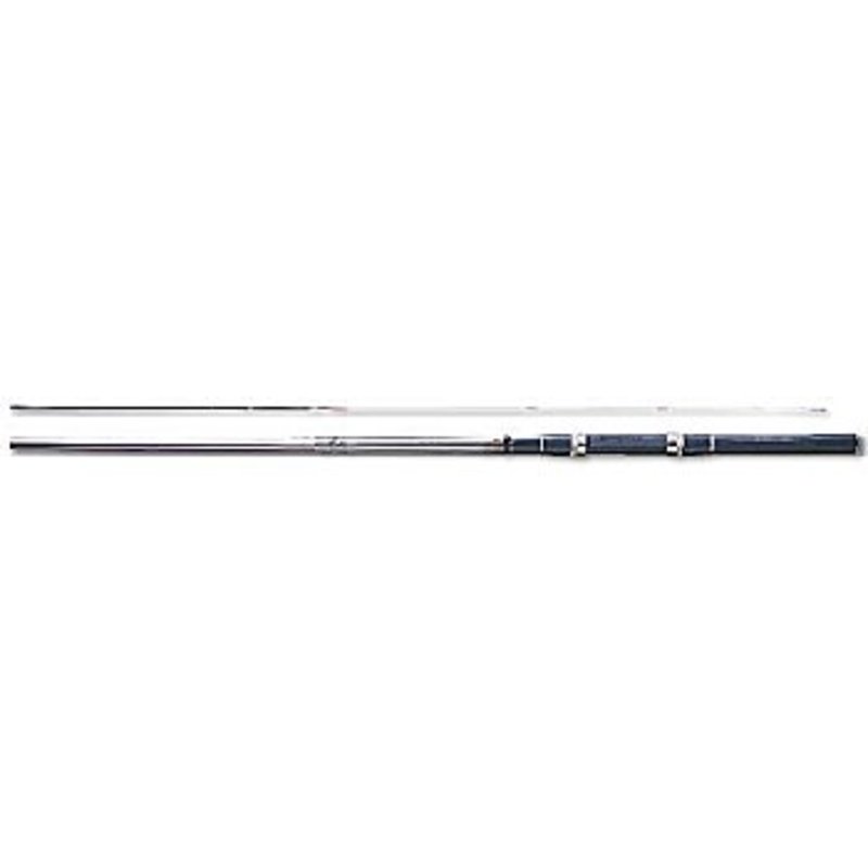 ダイワ(Daiwa) 落し込みスペシャル 06525995｜アウトドア用品・釣り具