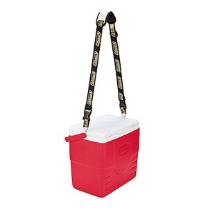 Coleman(R[}) n[hN[[V_[xg