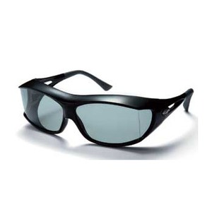【送料無料】アックス 2009 SG サングラス BK SG-605P 【送料無料】アックス 2009 SG サングラス BK SG-605P