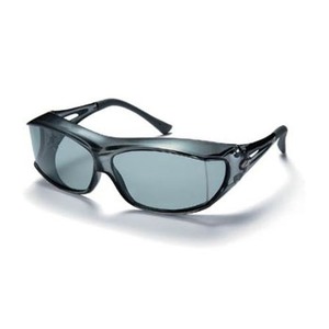 【送料無料】アックス 2009 SG サングラス SM SG-605P 【送料無料】アックス 2009 SG サングラス SM SG-605P