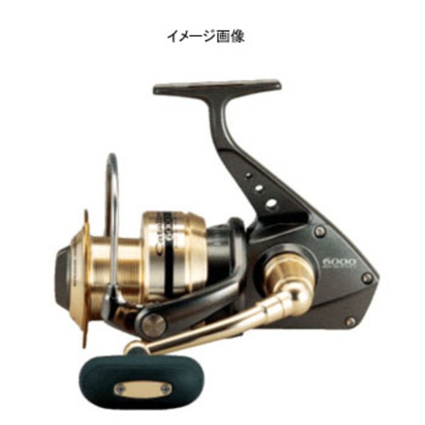 ダイワ(Daiwa) キャタリナ5000 00058310 4000～5000番