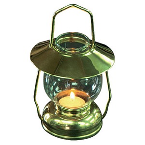 BRETTSCHNEIDER(ubhViC_[) uX^