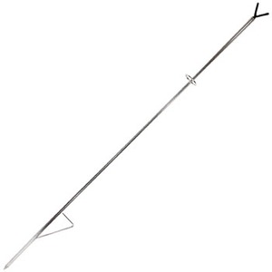 xg(Belmont) XeOƗXebvt