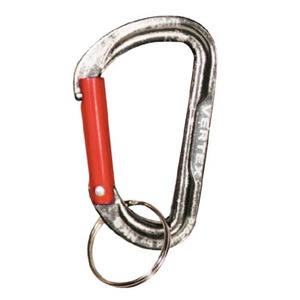 xg(Belmont) JriibWhjUll`^