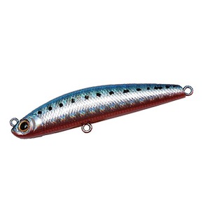 WN\(Jackson) AX[g@~m[@TTkk