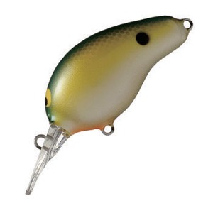 WbJ(JACKALL) WFjE`R@cq