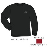 THE NORTH FACE(ザ･ノース･フェイス) TNF NUPTSE TEE Men’s NT37950 長袖Tシャツ(メンズ)