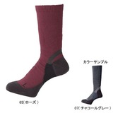 ミズノ(MIZUNO) アーチハンモック･ソックス薄手 73UM01307 【廃】インナーソックス