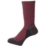 ミズノ(MIZUNO) アーチハンモック･ソックス薄手 73UM01365 【廃】インナーソックス