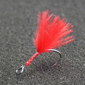 @tbN(VANFOOK) Xv[g[[r@