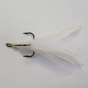 @tbN(VANFOOK) ntFU[gutbN