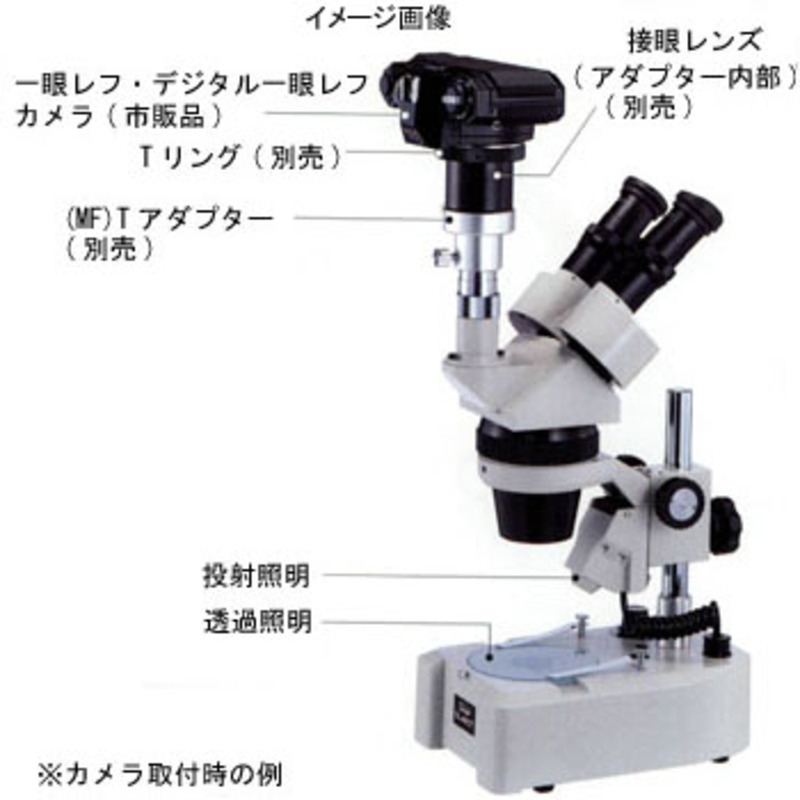 ビクセン(Vixen) 双眼実体顕微鏡 SL-60ZT(ズーム式) 2214｜アウトドア