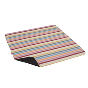 Coleman(R[}) NуW[V[g