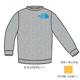 THE NORTH FACE(ザ･ノース･フェイス) TNF Crew Kid’s NTJ34900 長袖シャツ(ジュニア/キッズ/ベビー)