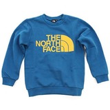 THE NORTH FACE(ザ･ノース･フェイス) TNF Crew Kid’s NTJ39900 長袖シャツ(ジュニア/キッズ/ベビー)