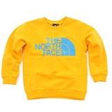 THE NORTH FACE(ザ･ノース･フェイス) TNF Crew Kid’s NTJ39900 長袖シャツ(ジュニア/キッズ/ベビー)