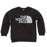 THE NORTH FACE(ザ･ノース･フェイス) TNF Crew Kid’s NTJ39900 長袖シャツ(ジュニア/キッズ/ベビー)