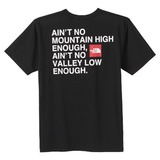 THE NORTH FACE(ザ･ノース･フェイス) TNF Print Tee Men’s NT32056 半袖Tシャツ(メンズ)