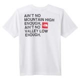 THE NORTH FACE(ザ･ノース･フェイス) TNF Print Tee Men’s NT32056 半袖Tシャツ(メンズ)
