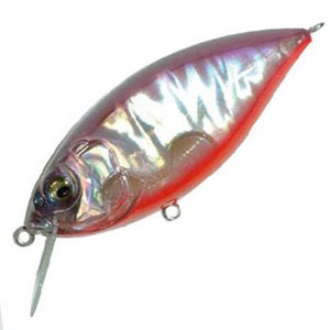 KoX(Megabass) y|bq`mj@w@s@`l|ksc