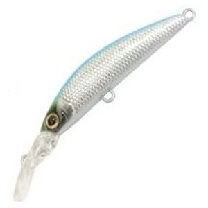 DAYSPROUT(fBXvEg) ItBV`[