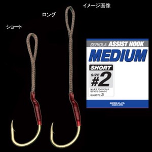 ooXiVARIVASj AVXgtbN@~fBAo[