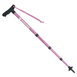 EVERNEW(エバニュー) オートRT4-90 EBH370 T型グリップトレッキングポール